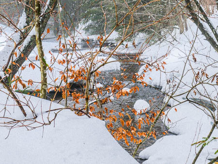 Februar (february) 2012