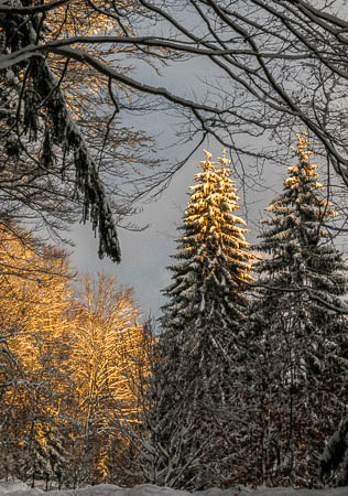 Februar (february) 2012