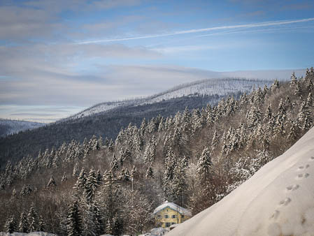 Februar (february) 2012