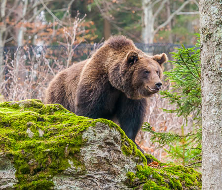 November (november) 2012