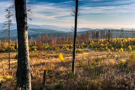 Oktober (october) 2011