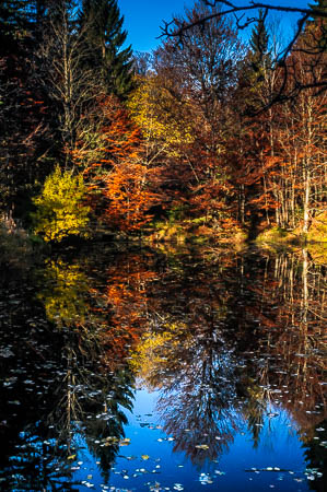 Oktober (october) 2011