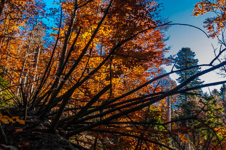 Oktober (october) 2011