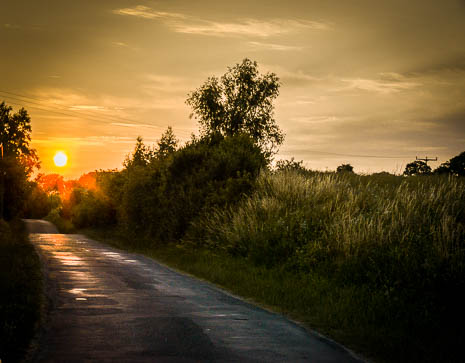 Susanne und Anja mit dem Planwagen durch die Uckermark (2015)