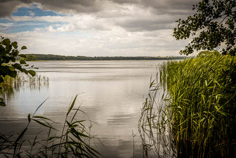 Susanne und Anja mit dem Planwagen durch die Uckermark (2015)