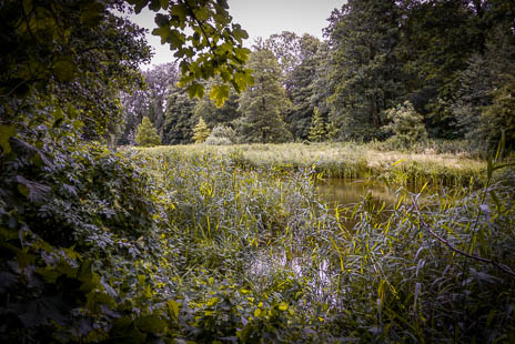 Susanne und Anja mit dem Planwagen durch die Uckermark (2015)