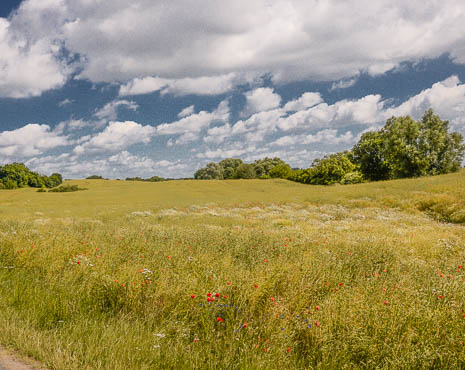 Susanne und Anja mit dem Planwagen durch die Uckermark (2015)