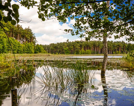 Susanne und Anja mit dem Planwagen durch die Uckermark (2015)