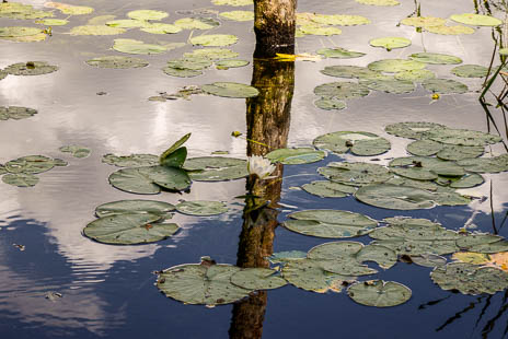 Susanne und Anja mit dem Planwagen durch die Uckermark (2015)