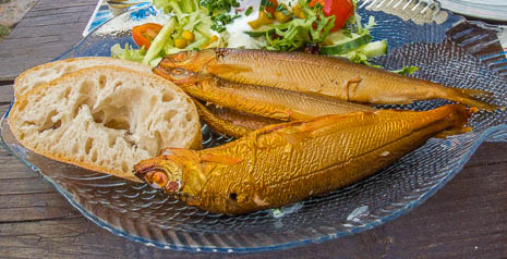Susanne und Anja mit dem Planwagen durch die Uckermark (2015)