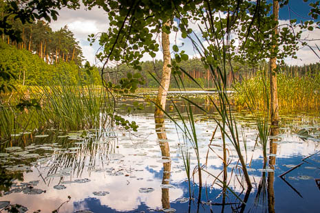 Susanne und Anja mit dem Planwagen durch die Uckermark (2015)