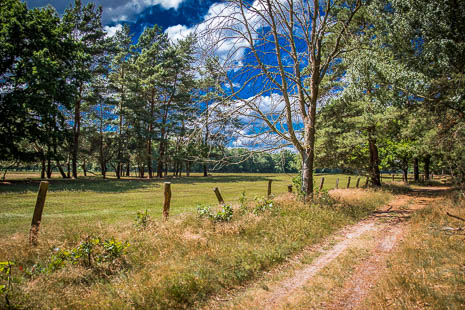 Susanne und Anja mit dem Planwagen durch die Uckermark (2015)