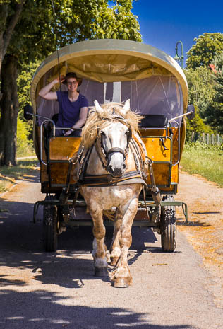 Susanne und Anja mit dem Planwagen durch die Uckermark (2015)