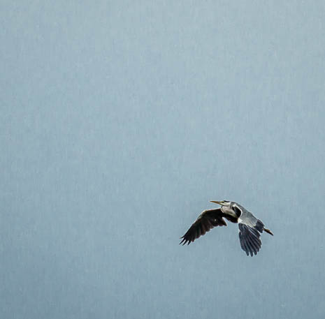 Susanne und Anja mit dem Planwagen durch die Uckermark (2015)