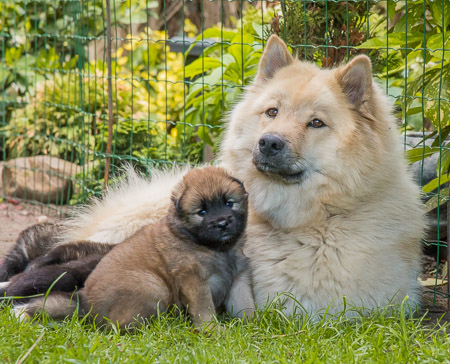 15.Mai 2014 (4-Woche)