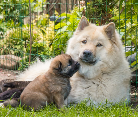 15.Mai 2014 (4-Woche)