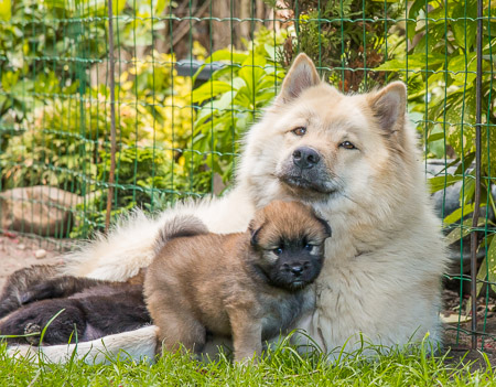 15.Mai 2014 (4-Woche)