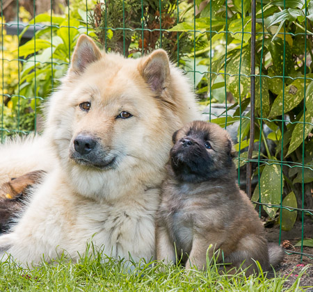 15.Mai 2014 (4-Woche)