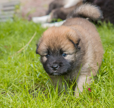 15.Mai 2014 (4-Woche)