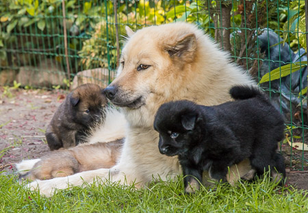 15.Mai 2014 (4-Woche)