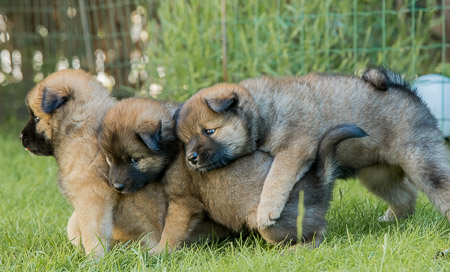 22.Mai 2014 (5-Woche)