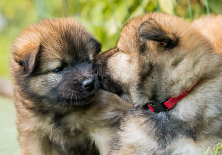 22.Mai 2014 (5-Woche)