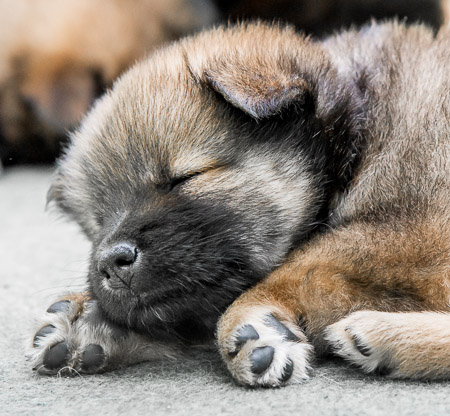 22.Mai 2014 (5-Woche)