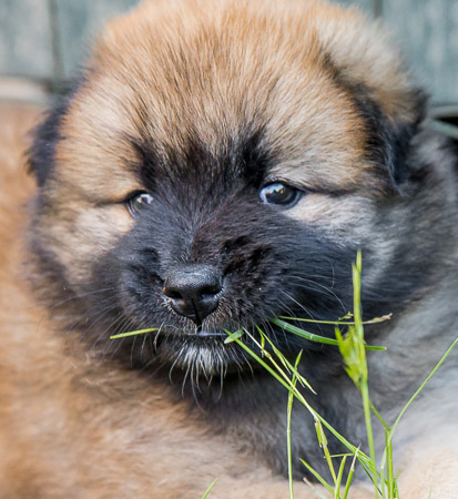 22.Mai 2014 (5-Woche)