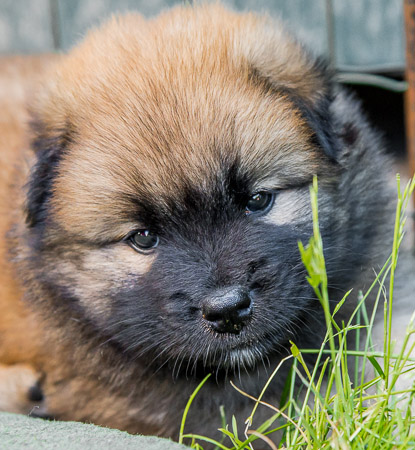 22.Mai 2014 (5-Woche)