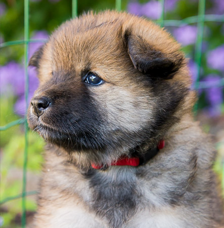 22.Mai 2014 (5-Woche)