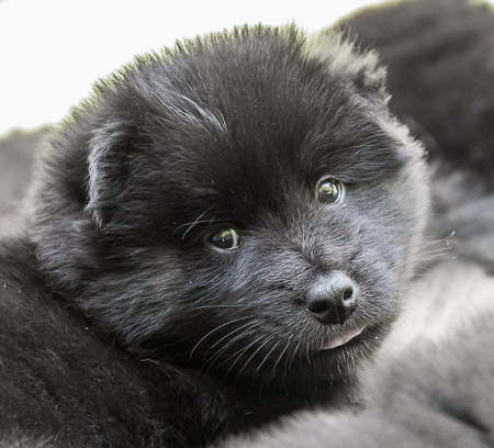 22.Mai 2014 (5-Woche)