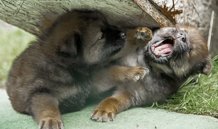 24.Mai 2014 (5-Woche)