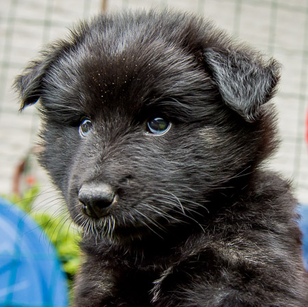 29.Mai 2014 (6-Woche)