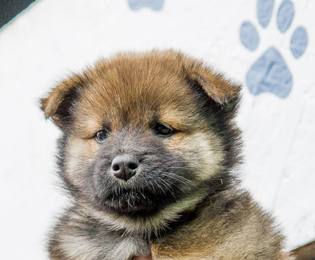 29.Mai 2014 (6-Woche)