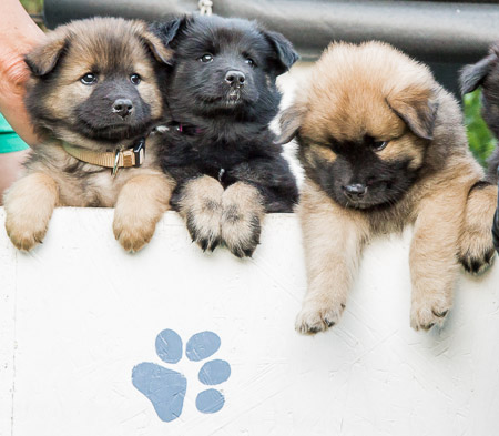 30.Mai 2014 (6-Woche)