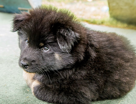 5.Juni 2014 (7-Woche)