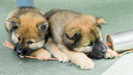 5.Juni 2014 (7-Woche)