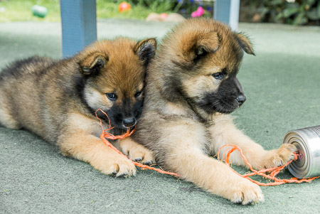 5.Juni 2014 (7-Woche)