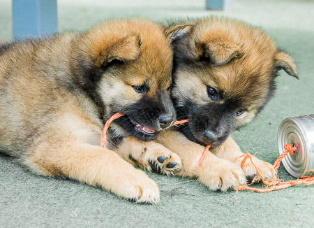 5.Juni 2014 (7-Woche)