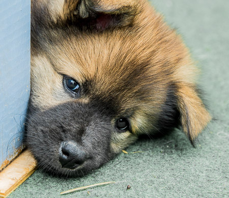 5.Juni 2014 (7-Woche)