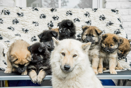 5.Juni 2014 (7-Woche)