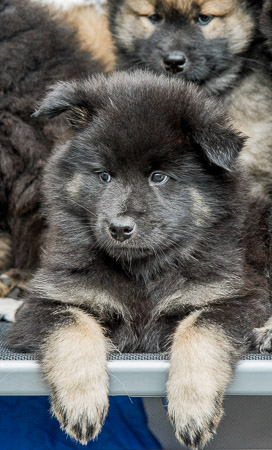 5.Juni 2014 (7-Woche)