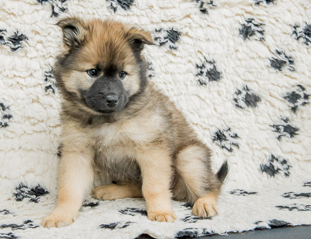 5.Juni 2014 (7-Woche)