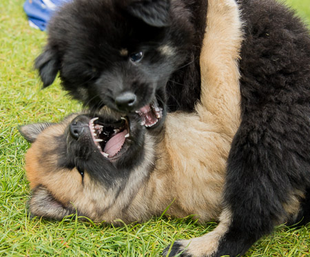 5.Juni 2014 (7-Woche)