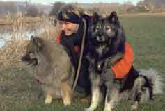 The Eurasian dogs Nooki and Nanook